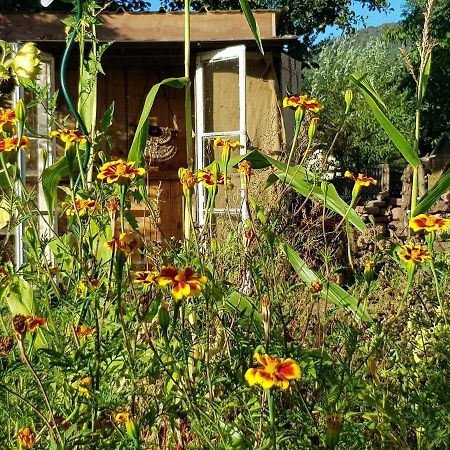 Le Jardin Des Gouttes Panzió Rougegoutte Kültér fotó