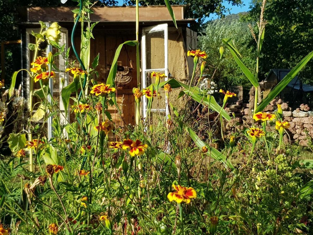 Le Jardin Des Gouttes Panzió Rougegoutte Kültér fotó