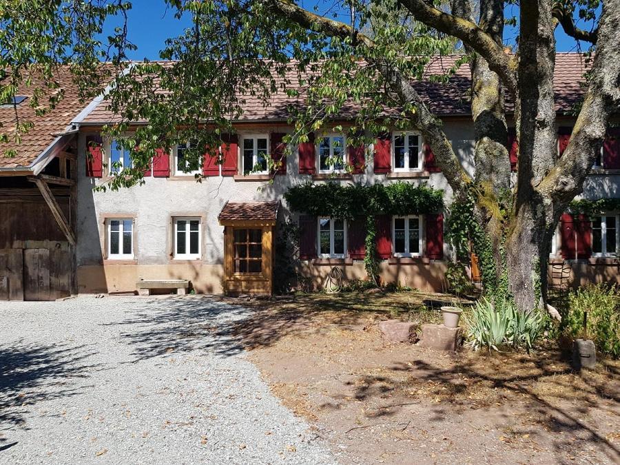 Le Jardin Des Gouttes Panzió Rougegoutte Kültér fotó